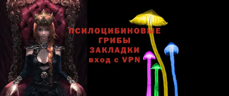 Галлюциногенные грибы MAGIC MUSHROOMS  Кингисепп 